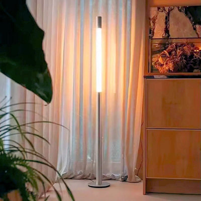Led Light Floor Lamp