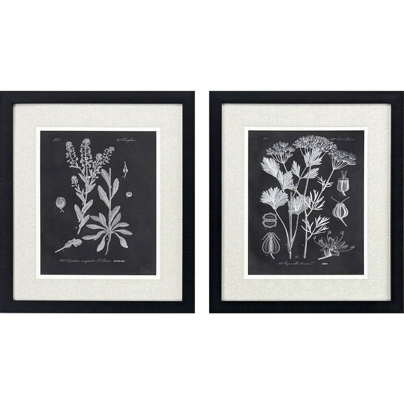 Mono Botanicals II S/2 Print by Libby Langdon Paragon