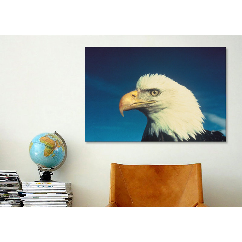 Pygargue à tête blanche, reproduction de photo sur toile, H 26 po x l 40 po x P 1,5 po, Toile tendue