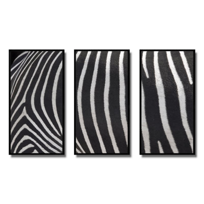 Détail de lignes de zèbre noires et blanches IV - ensemble transitionnel d'art mural sur toile encadré de 3