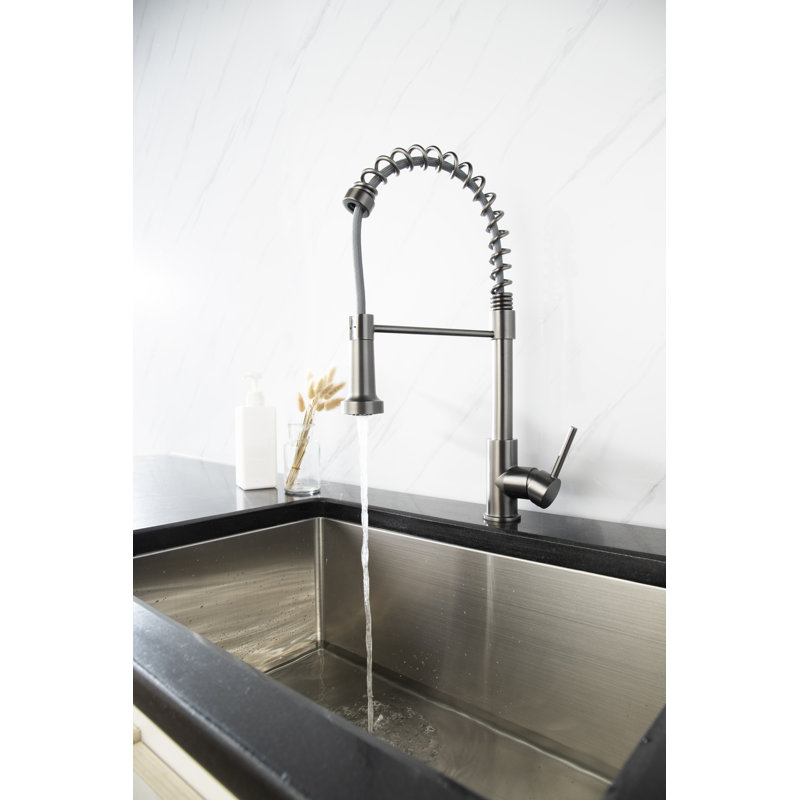 LITTLE TREE Pull Out Kitchen Faucet