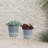Versatile Planter with Wood Legs for All Spaces and Plants