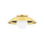 Tobia 1 - Light Flush Mounted Sconce