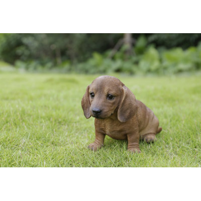 Dachshund Sitting Statue