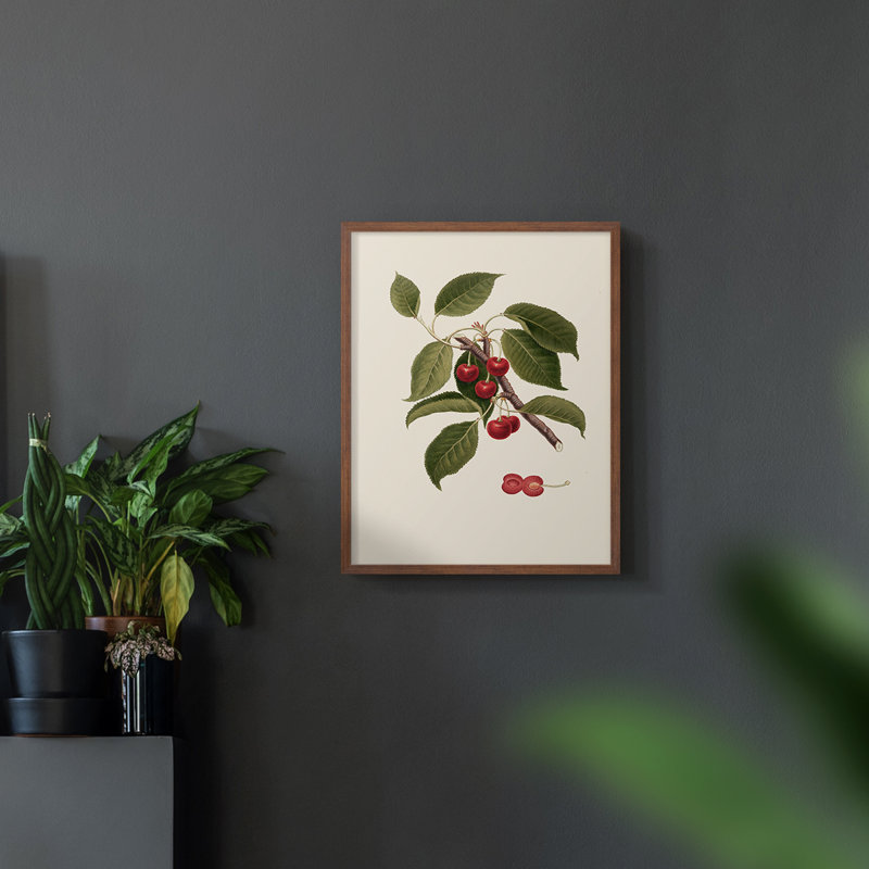 «Vintage Floral Print XLIV» sur, Noyer, H 10 po x l 8 po