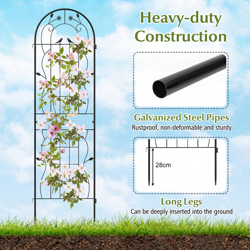 Metal Arched Trellis, 180cm H x 50cm W, Black