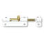 2-1/2" Oyster Shell Cone Pull