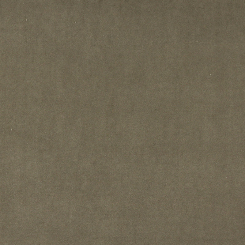 Tissu velours en coton, Taupe clair