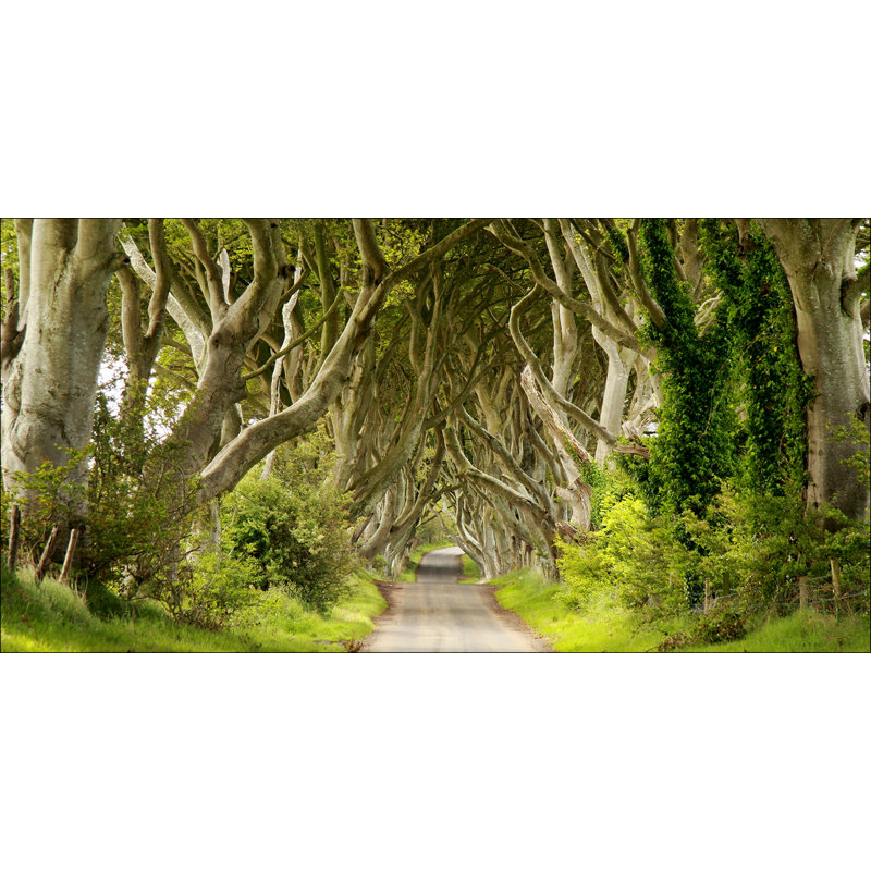Wrapped Canvas Print, 120cm L x 60cm W