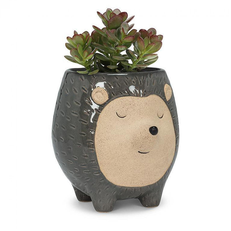 Grand pot à fleurs hérisson