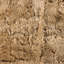 Tapis crème en peau de mouton Dodger-1131945961