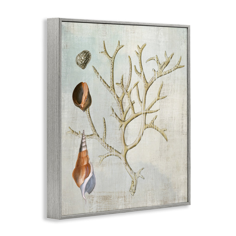 Coquillages et branche de corail, estampe numérique, design par Susan Arnot, Estampe numérique Farmhouse, H 20 po x l 16 po