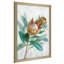 Tropical Protea - Peinture-1488347345-1488347346