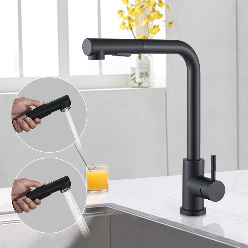 Belfry Kitchen Madawaska Pull Out Kitchen Faucet, Black