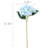 Hydrangea Stem-1158631099