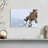 Brampt Winter Bighorn Sheep-106821446