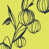 Acid Yellow