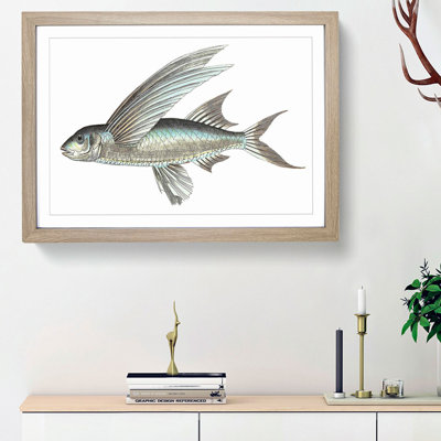 Flying Fish by George Shaw - Framed Print