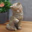 Joaquin CAT 25cm Carved Wood Effect