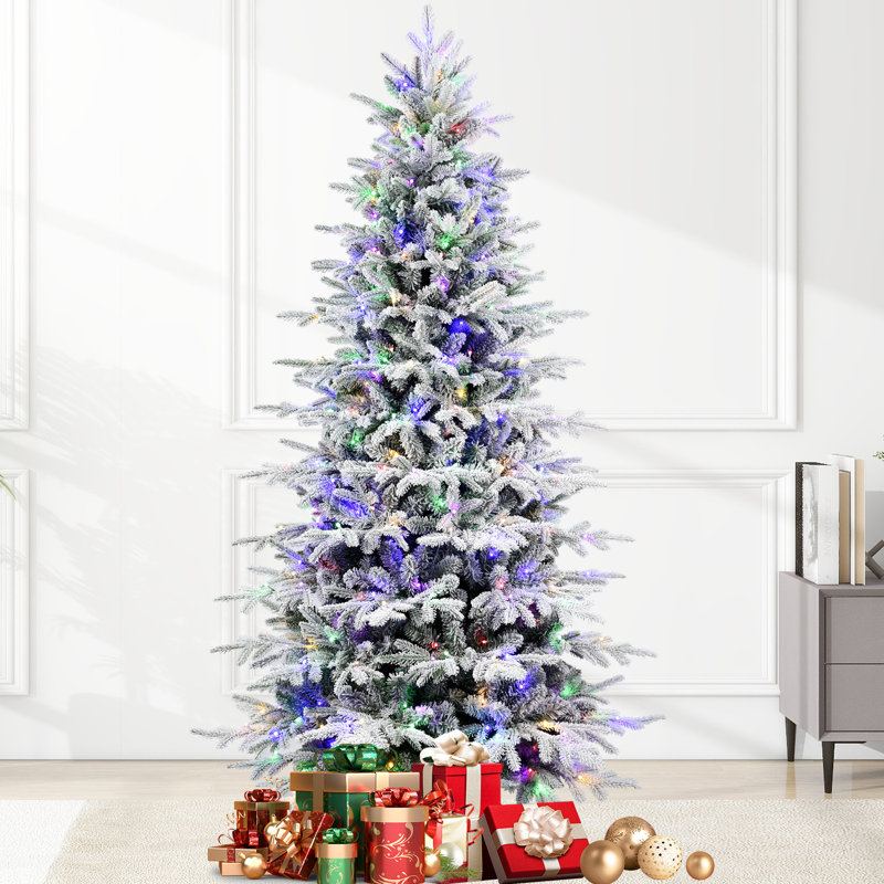 Sapin de Noël cachemire caché Cashmere, H 8 pi