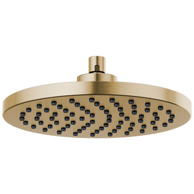 Essential® 10" Full/Standard Adjustable Shower Head with Raincan Function
