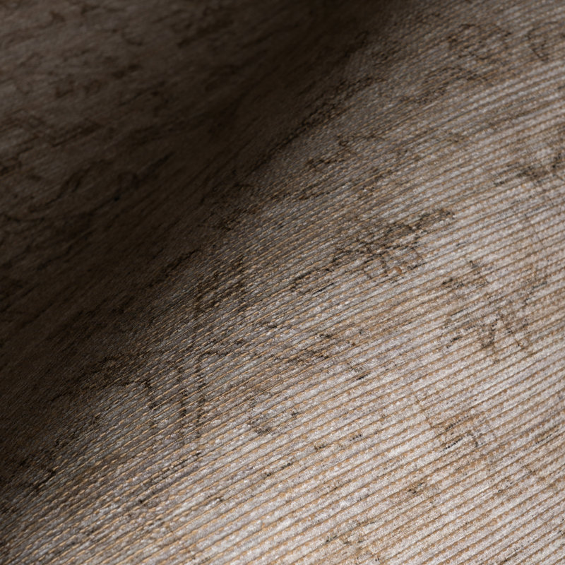 Tapis traditionnel Deliora, Rectangle 4pi x 6 pi, Beige