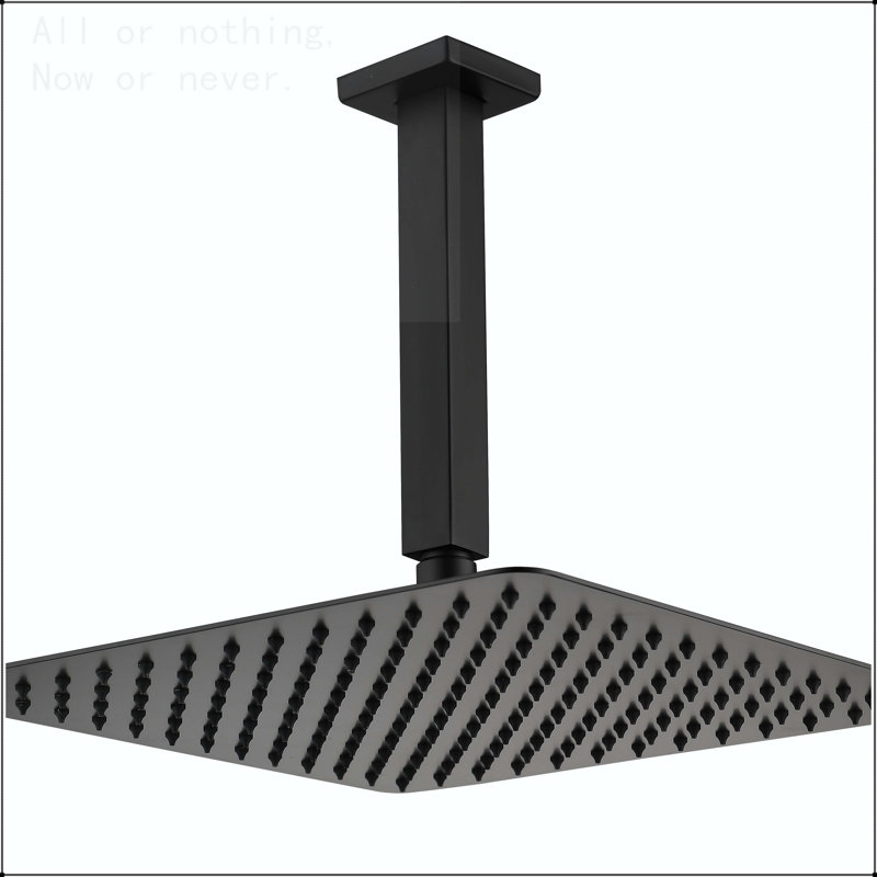 Pomme de douche 16 po noir mat
