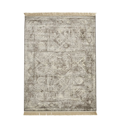 Shivendra Hand Woven Area Rug