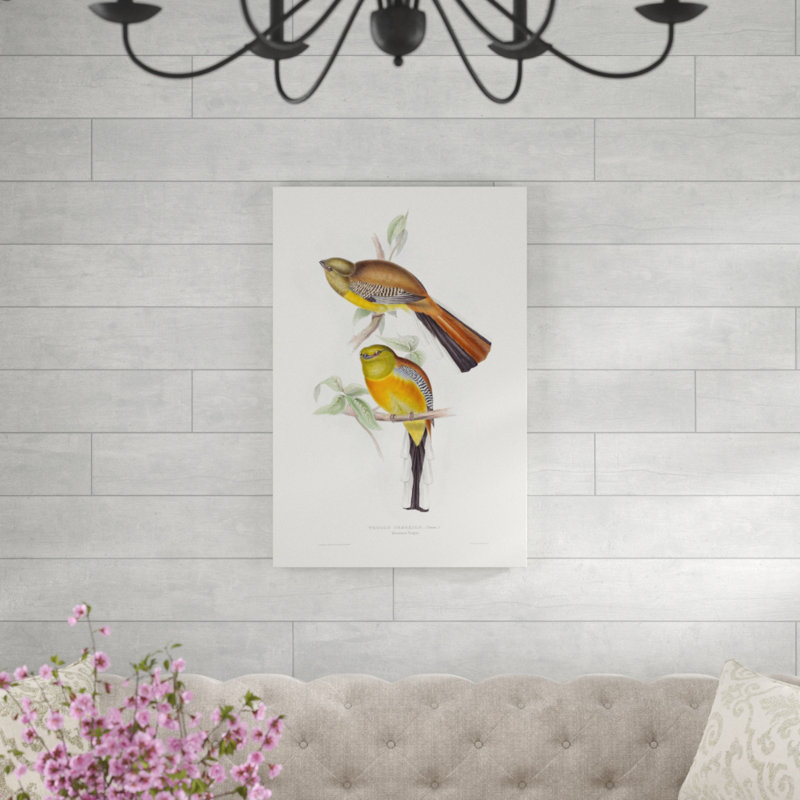 «Tropical Trogons VI», peinture sur toile, H 36 po x l 24 po