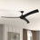 Burwell 62'' Ceiling Fan with LED Lights