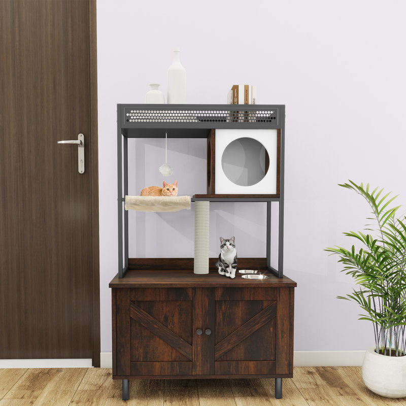 Get Everything You Need