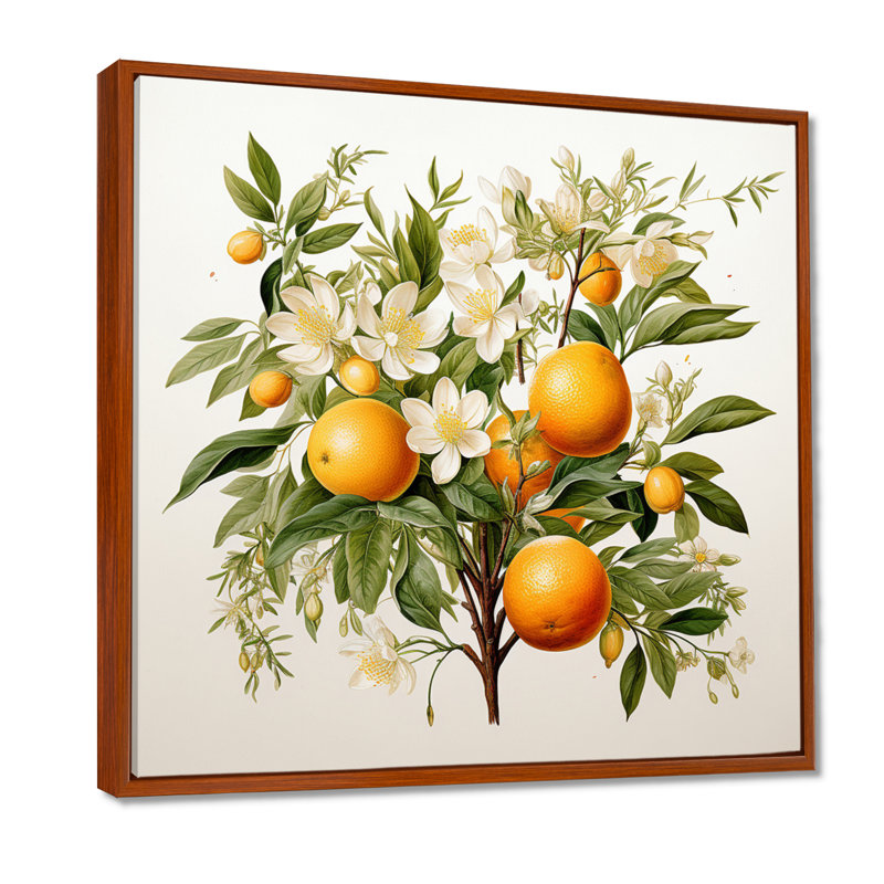 Art mural sur toile de fruits, impression botanique d'oranger, H 30 po x l 30 po x P 1 po, Cadre flottant brun