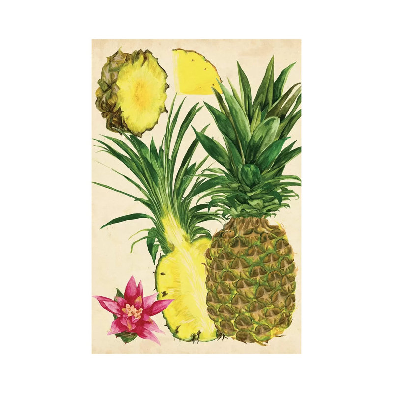 Tropical Pineapple Study II by Melissa Wang - Wrapped Canvas Painting, 66.04 cm H x 45.72 cm W
