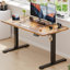 Mallus 120CM x 60CM Electric Height Adjustable Standing Desk-1965872726-1965872732