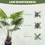 Faux Palm Tree in Pot-541601572