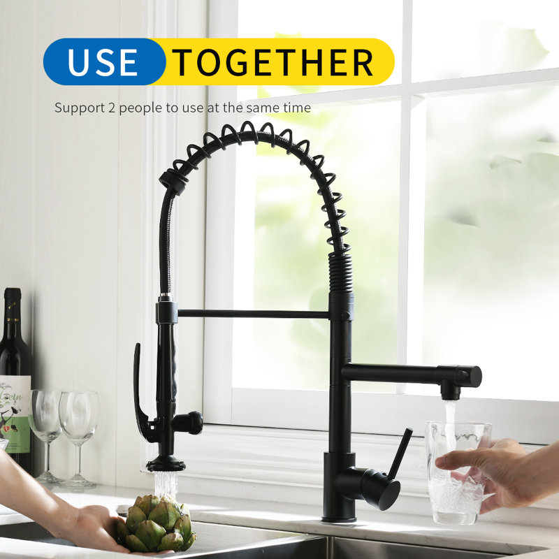 FLG Pull Down Kitchen Faucet, Black