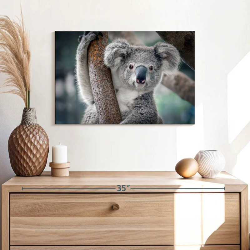Brampt Happy Koala, 16" H x 24" W