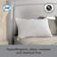 Sealy Deeply Full Pillows 2 Pack