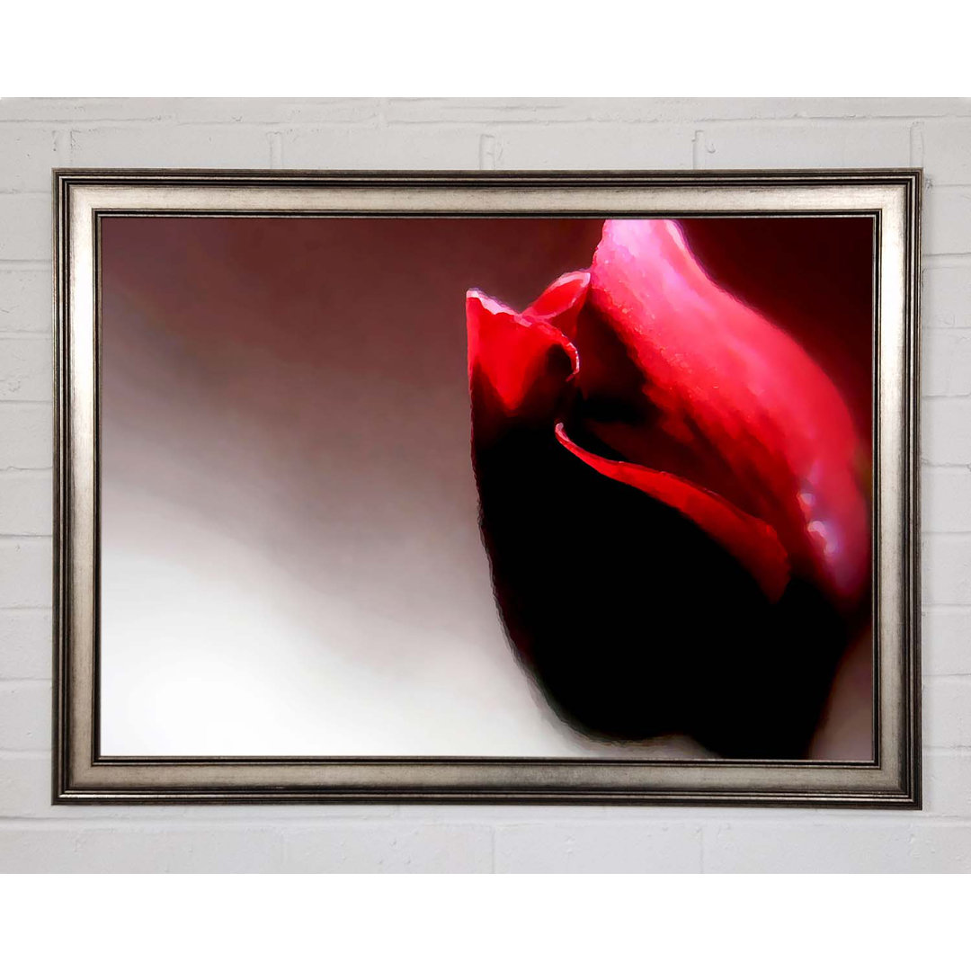 Visions Of A Rose - Einzelne Bilderrahmen Kunstdrucke