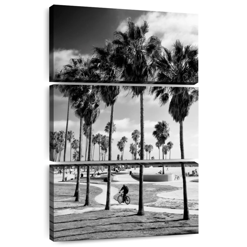 Patinoire Sirci Venice Beach, H 32 po x l 20 po