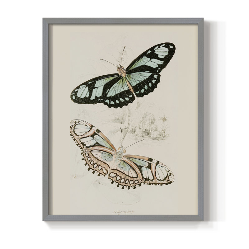 «Vintage Animal Print», reproduction encadrée en L - bois massif, Gris, H 30 po x l 24 po
