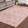 Rugs.com Ruby Trellis Shag Rug Light Pink