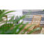 Chaise longue en rotin naturel Toomey