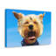No Frame Print on Canvas-2146208221