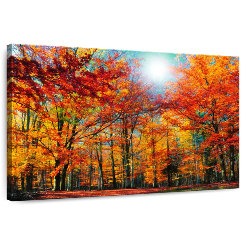 Alvord Autumn Season Beech Trees, 16" H x 24" W