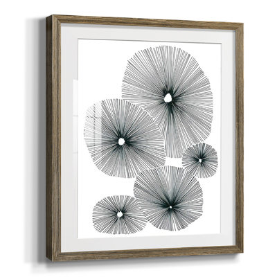 Bloom Spiral II