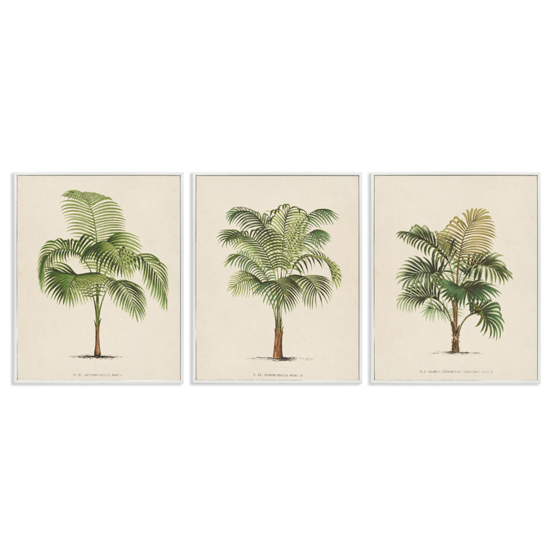 White Framed Botanical Trio Canvas Print Set, 16" x 20"