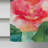 Double Sided 40'' H x 28'' W Polyester House Flag