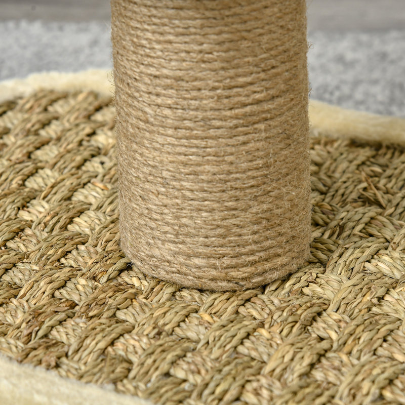 Barry 56cm H Cat Tree