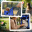 Gianni Pet Carrier-932349416